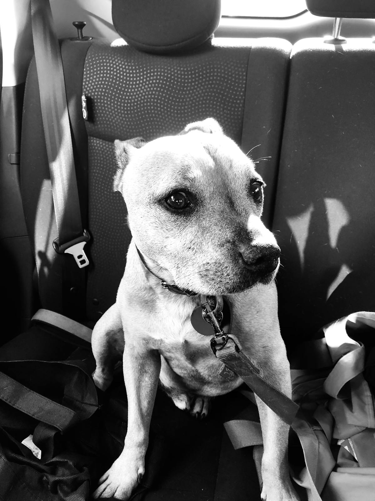 Profesional sanitario revisando pruebas e historia clinica para ordenar un plan diagnostico.